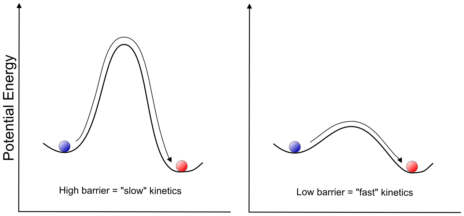 Potential Energy Thermodynamics And Kinetics